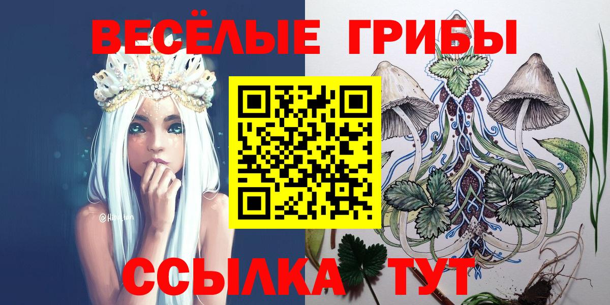 Лсд 25 Ивантеевка