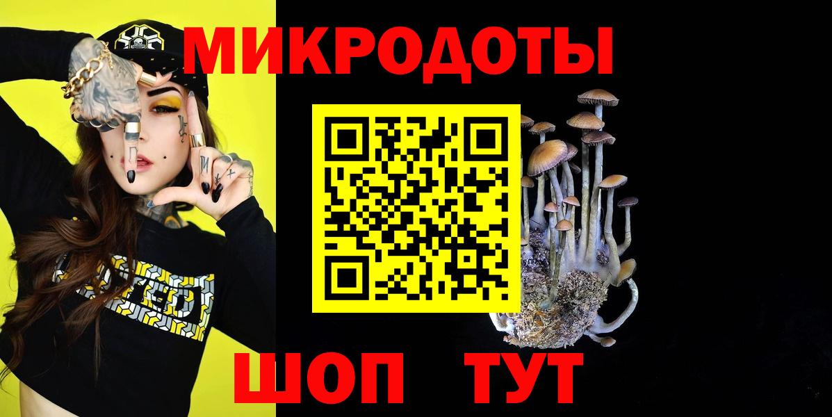 Псилоцибиновые грибы MAGIC MUSHROOMS  сколько стоит  Ивантеевка  Вход с VPN 